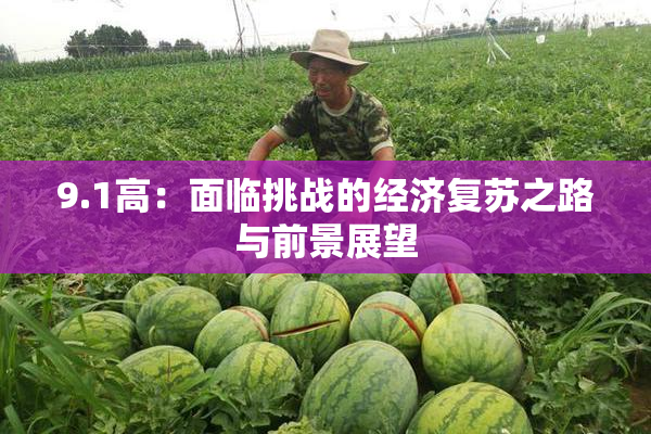 9.1高：面临挑战的经济复苏之路与前景展望