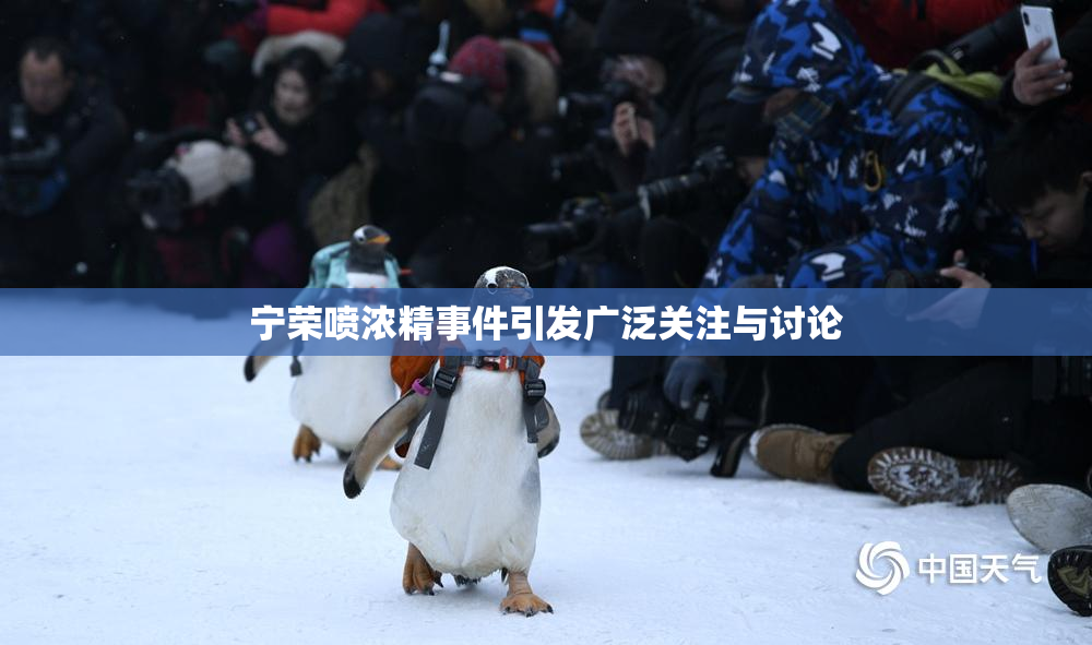 宁荣喷浓精事件引发广泛关注与讨论