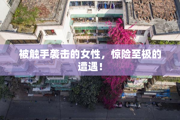 被触手袭击的女性，惊险至极的遭遇！