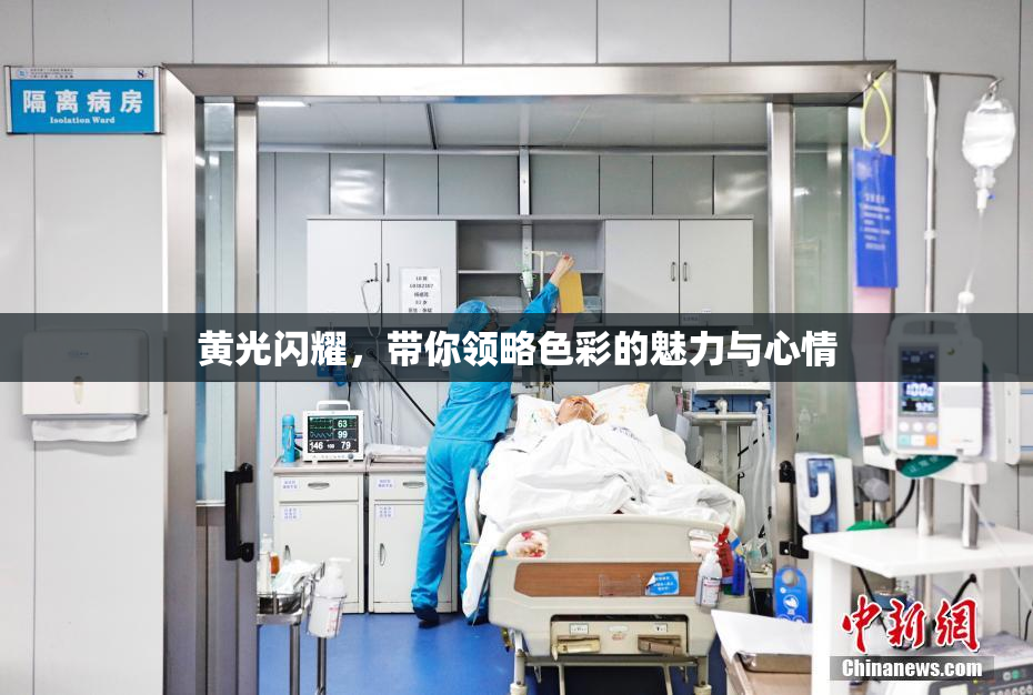 黄光闪耀，带你领略色彩的魅力与心情