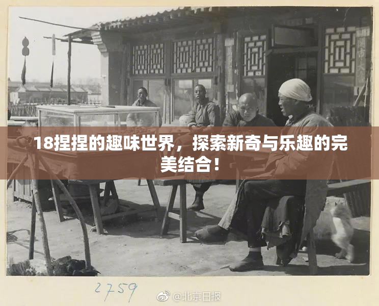 18捏捏的趣味世界，探索新奇与乐趣的完美结合！
