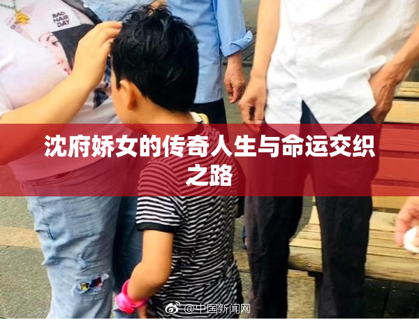 沈府娇女的传奇人生与命运交织之路