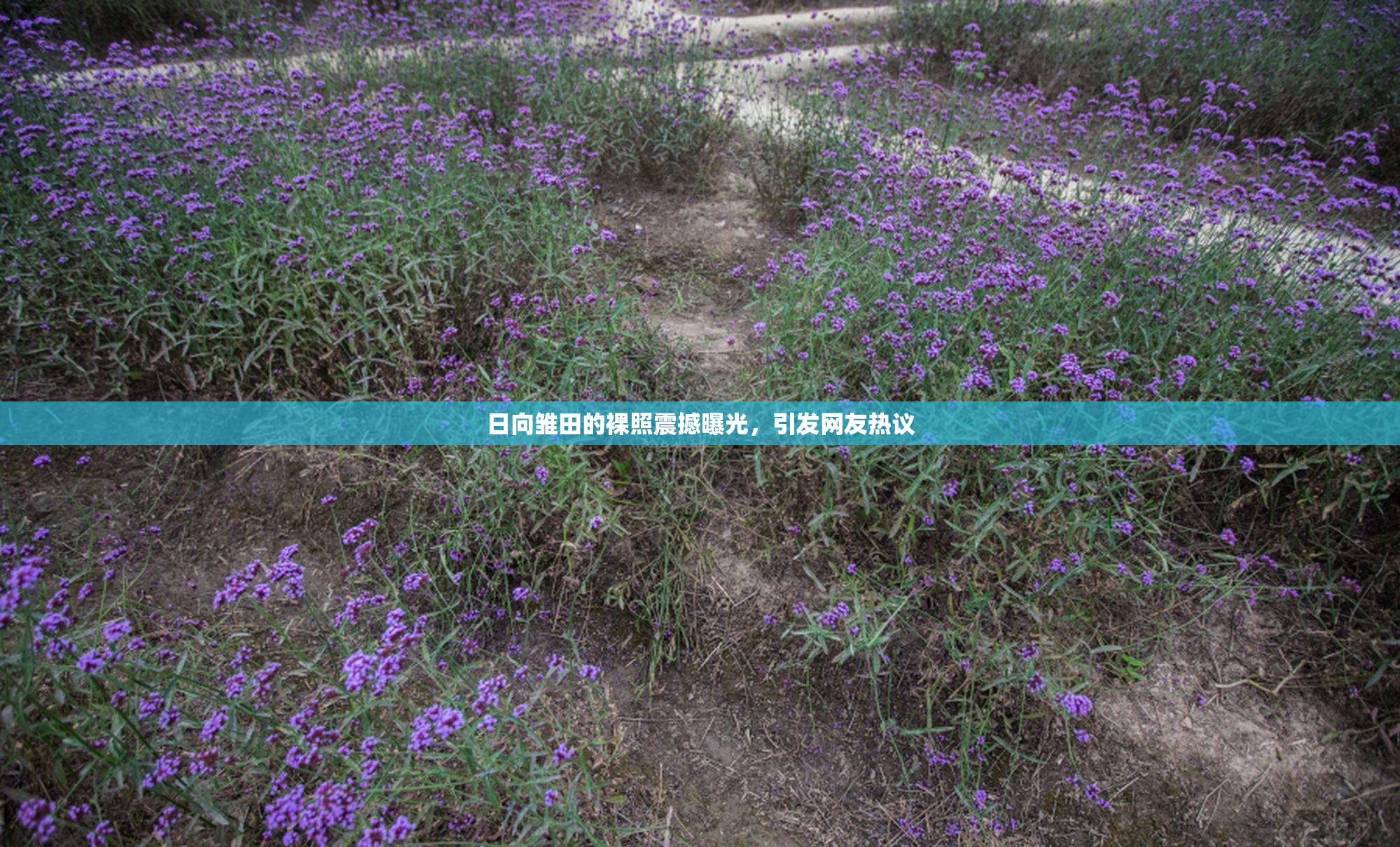 日向雏田的裸照震撼曝光，引发网友热议