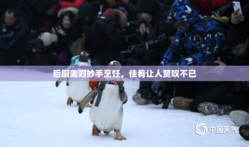 后厨美妇妙手烹饪，佳肴让人赞叹不已