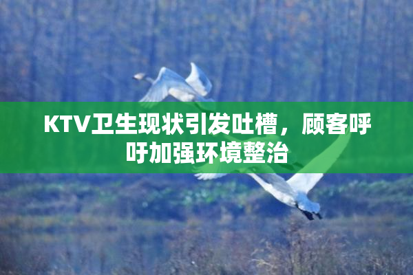 KTV卫生现状引发吐槽，顾客呼吁加强环境整治