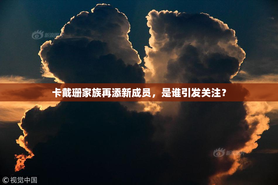 卡戴珊家族再添新成员，是谁引发关注？