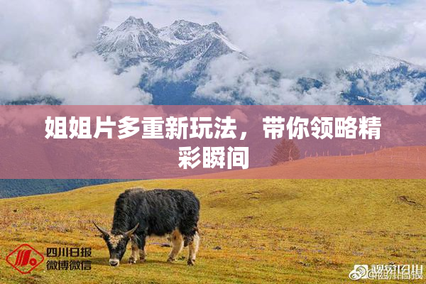 姐姐片多重新玩法，带你领略精彩瞬间