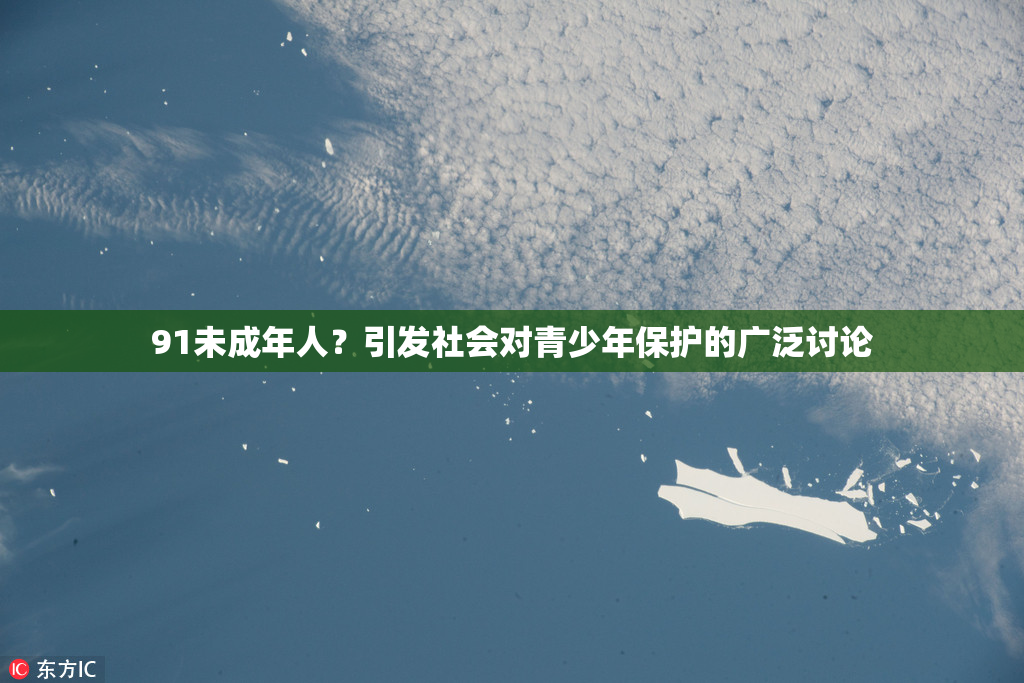 91未成年人？引发社会对青少年保护的广泛讨论