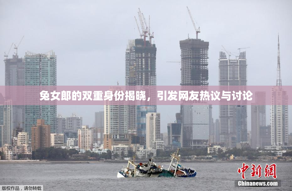 兔女郎的双重身份揭晓，引发网友热议与讨论