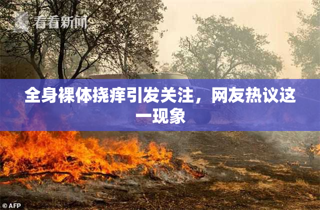 全身裸体挠痒引发关注，网友热议这一现象