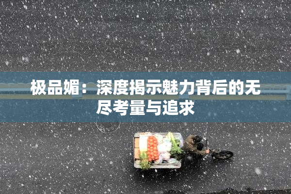 极品媚：深度揭示魅力背后的无尽考量与追求