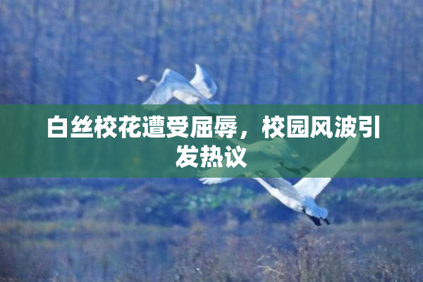 白丝校花遭受屈辱，校园风波引发热议