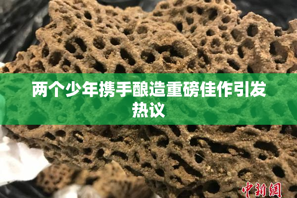 两个少年携手酿造重磅佳作引发热议