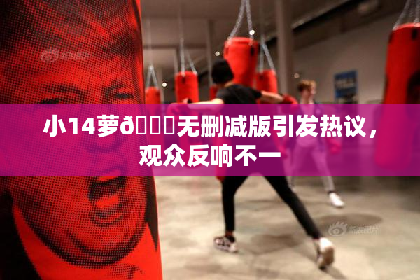 小14萝🔞无删减版引发热议，观众反响不一