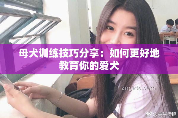母犬训练技巧分享：如何更好地教育你的爱犬