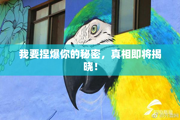 我要捏爆你的秘密，真相即将揭晓！