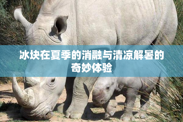 冰块在夏季的消融与清凉解暑的奇妙体验