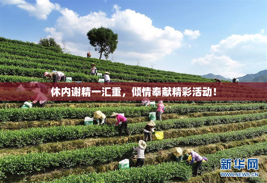 休内谢精一汇重，倾情奉献精彩活动！