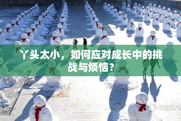 丫头太小，如何应对成长中的挑战与烦恼？
