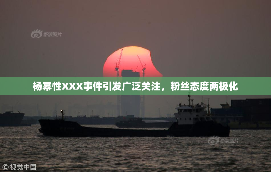 杨幂性XXX事件引发广泛关注，粉丝态度两极化