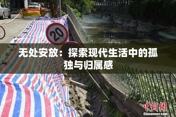 无处安放：探索现代生活中的孤独与归属感