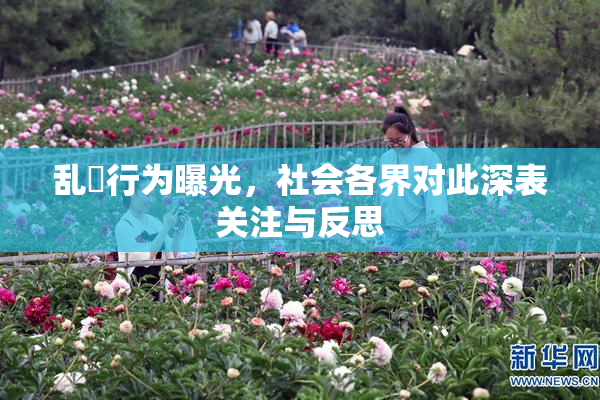 乱婬行为曝光，社会各界对此深表关注与反思