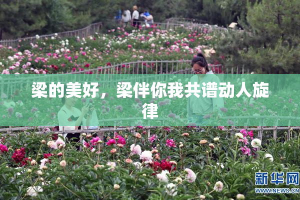 梁的美好，梁伴你我共谱动人旋律