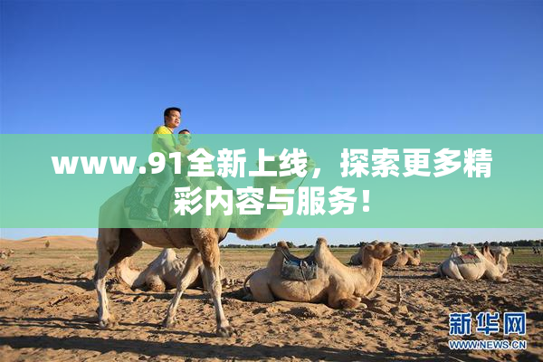 www.91全新上线，探索更多精彩内容与服务！