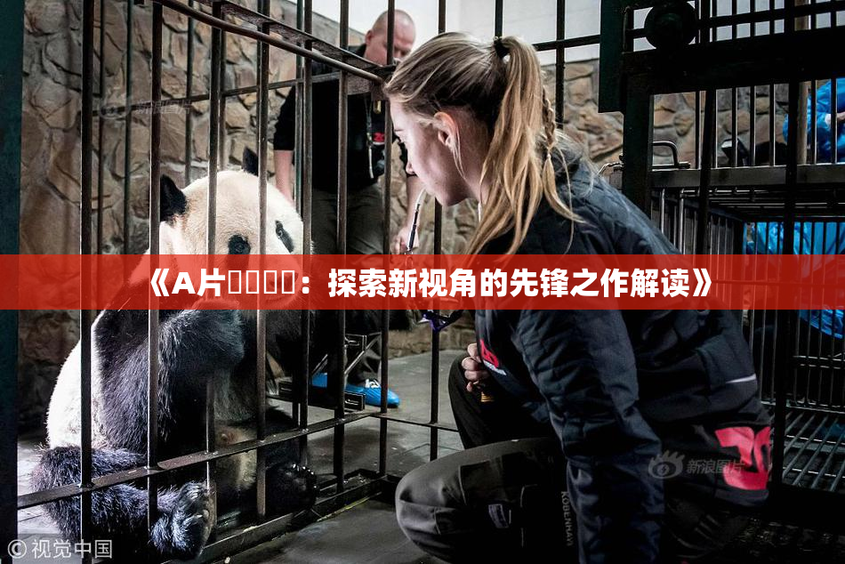 《A片❌‌❌‌：探索新视角的先锋之作解读》