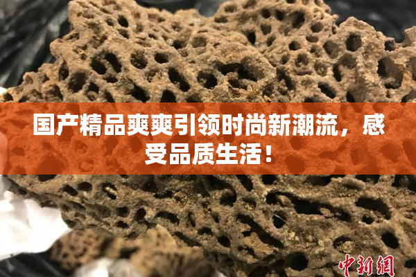 国产精品爽爽引领时尚新潮流，感受品质生活！