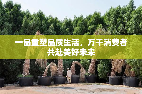 一品重塑品质生活，万千消费者共赴美好未来