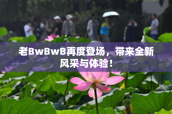 老BwBwB再度登场，带来全新风采与体验！