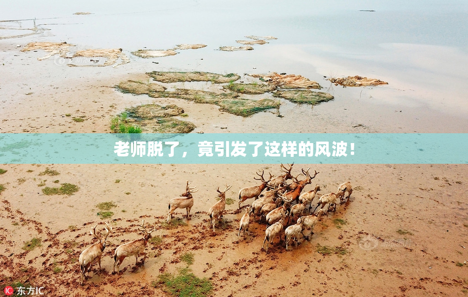 老师脱了，竟引发了这样的风波！