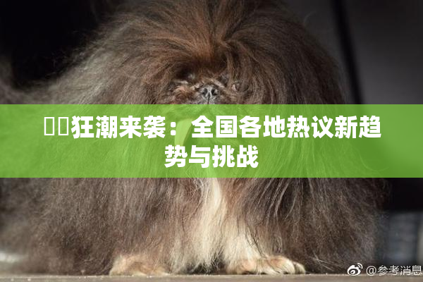 ❌‌狂潮来袭：全国各地热议新趋势与挑战