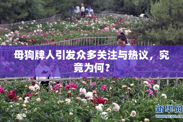 母狗牌人引发众多关注与热议，究竟为何？