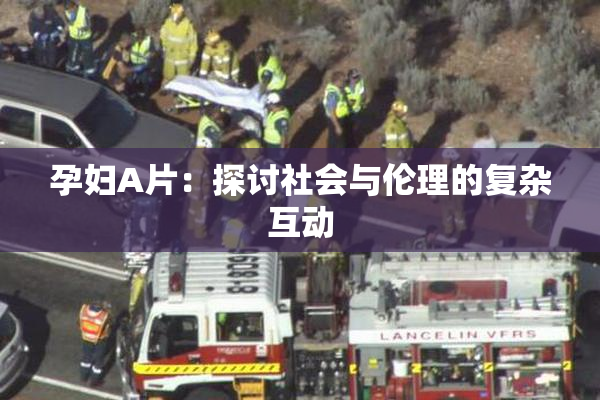 孕妇A片：探讨社会与伦理的复杂互动