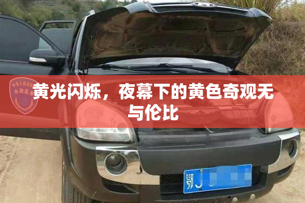 黄光闪烁，夜幕下的黄色奇观无与伦比