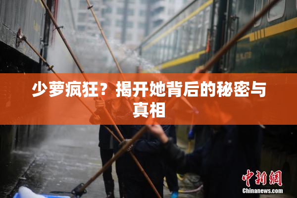 少萝疯狂？揭开她背后的秘密与真相
