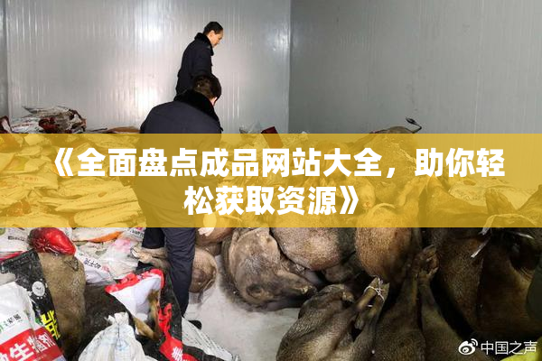 《全面盘点成品网站大全，助你轻松获取资源》