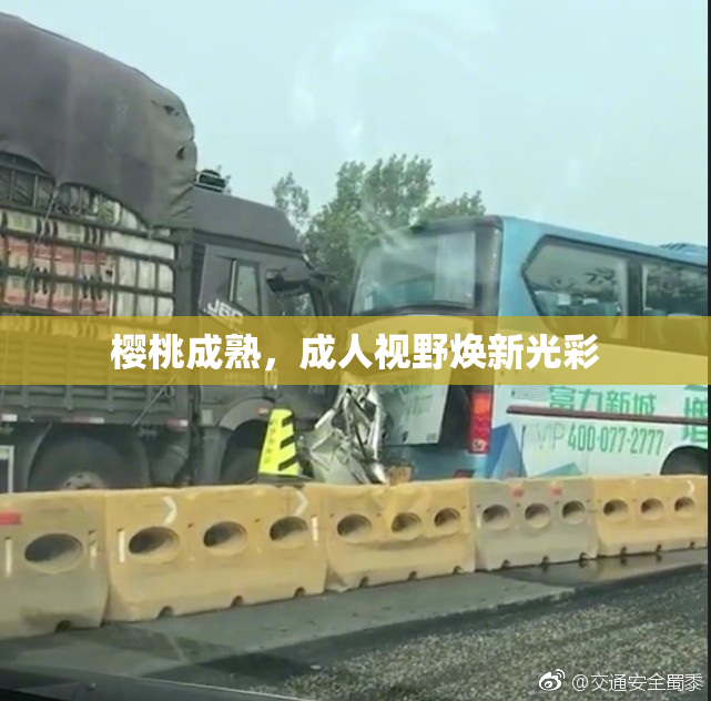 樱桃成熟，成人视野焕新光彩