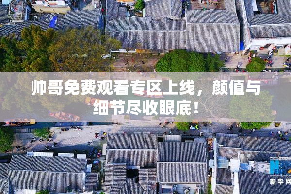 帅哥免费观看专区上线，颜值与细节尽收眼底！
