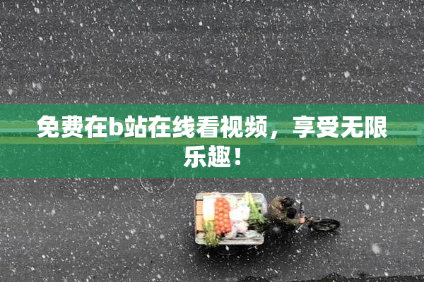 免费在b站在线看视频，享受无限乐趣！
