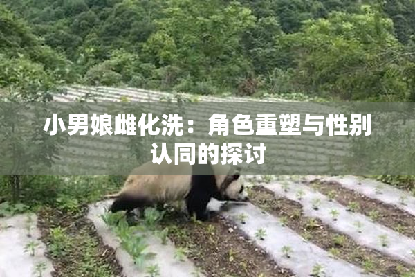 小男娘雌化洗：角色重塑与性别认同的探讨