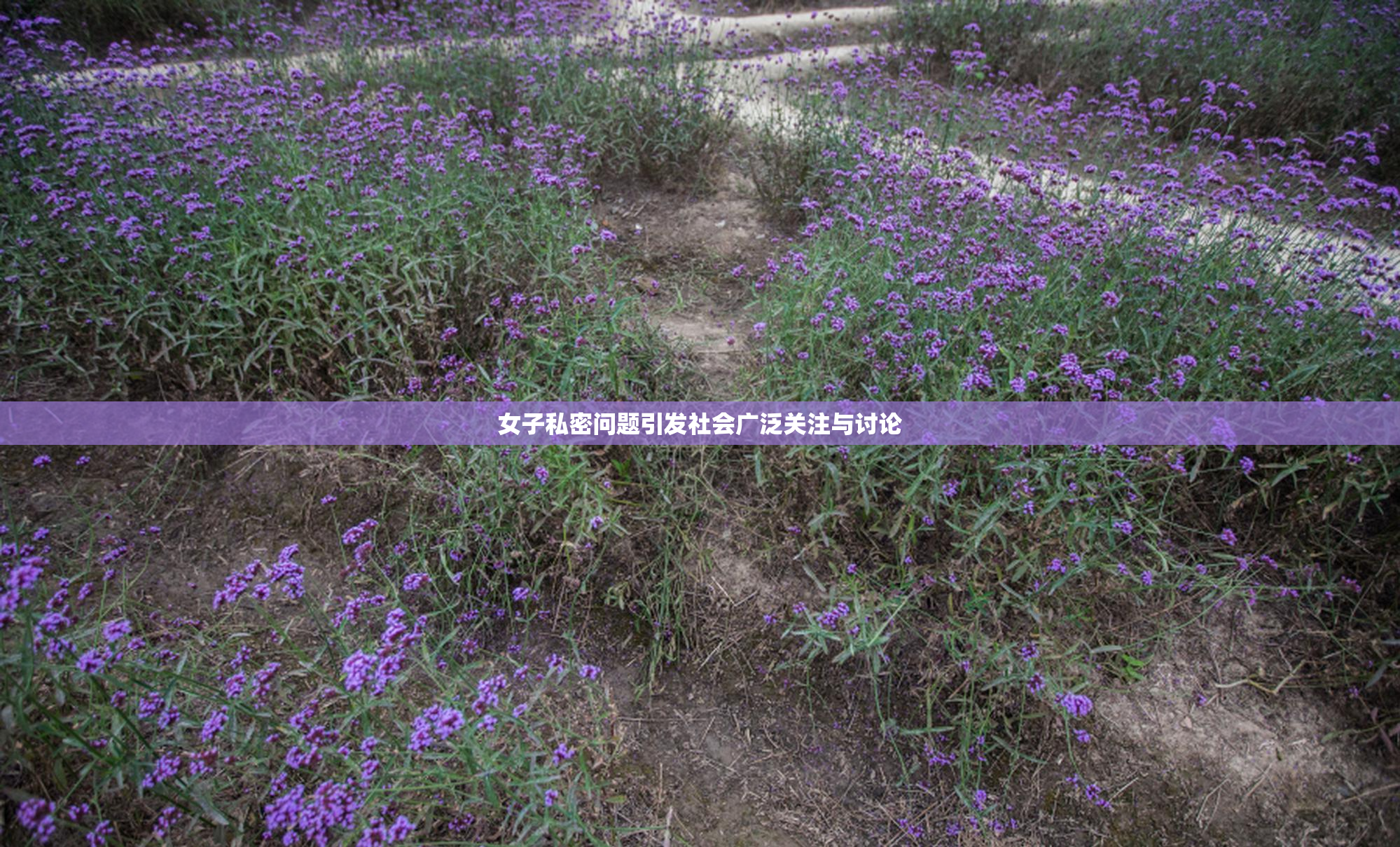 女子私密问题引发社会广泛关注与讨论