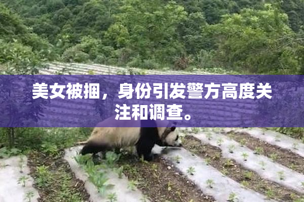 美女被捆，身份引发警方高度关注和调查。