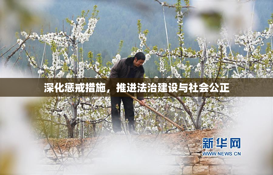 深化惩戒措施，推进法治建设与社会公正