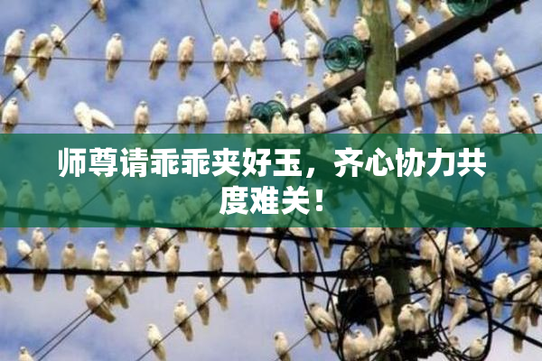 师尊请乖乖夹好玉，齐心协力共度难关！