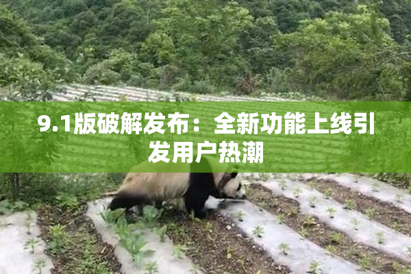 9.1版破解发布：全新功能上线引发用户热潮