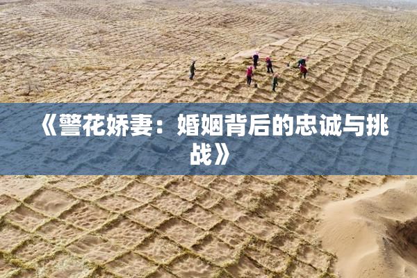 《警花娇妻：婚姻背后的忠诚与挑战》