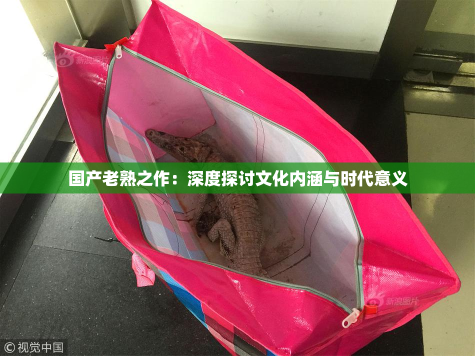 国产老熟之作：深度探讨文化内涵与时代意义
